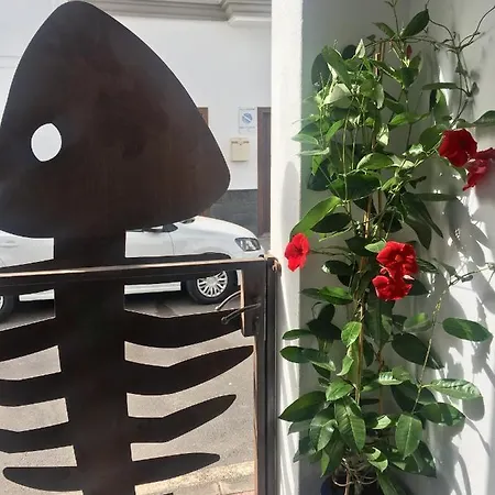 Apartmán Estudio Del Pescado En El Charco Arrecife (Lanzarote)