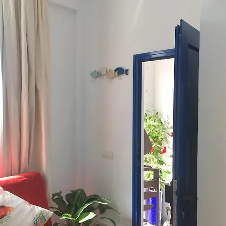 Estudio Del Pescado En El Charco 阿雷西费