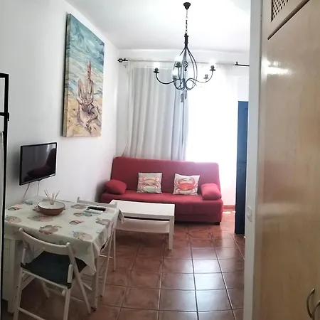 Estudio Del Pescado En El Charco Apartmán